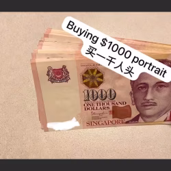 收藏$1000面值的新币