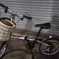 全新 20寸折叠式自行车 报送货 送车锁!!! 图片 6