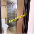 厕所门（q-fold door ) 图片 5