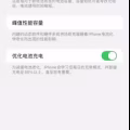 苹果12pro MAX512GB 图片 2