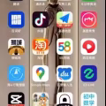 出售XS MAX 64G 金色 99新 图片 7