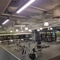 轻轻松松瘦身减肥 图片 6