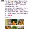 很新的书 学前识字 华文教育 图片 4