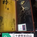 铜狮子一对，鱼竿。鱼线，人参 图片 4