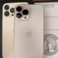 iPhone13 pro max 256G 金色 图片 1