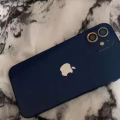 苹果12  图片 1
