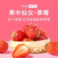 果形漂亮，呈圆锥形，颗粒大 图片 1