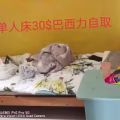 家居用品 图片 2