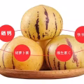 新鲜水果上新   酸酸甜甜 美味可口  图片 3
