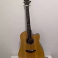 电箱吉他  图片 4