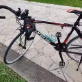 公路赛 图片 7