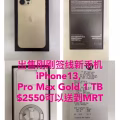 iPhone 13, Pro Max Gold 1TB 图片 5
