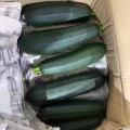   新鲜蔬菜蔬果 看看色彩缤纷 五彩斑斓的美味 图片 10