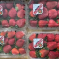   新鲜蔬菜蔬果 看看色彩缤纷 五彩斑斓的美味 图片 8