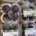   新鲜蔬菜蔬果 看看色彩缤纷 五彩斑斓的美味 图片 7