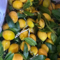   新鲜蔬菜蔬果 看看色彩缤纷 五彩斑斓的美味 图片 4