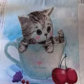 手工DIY砖石画《茶杯猫》 图片 2