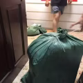 中国——新加坡海运  小包裹运输 图片 2