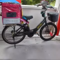 Zebra E-Bike 图片 3