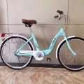 自行车 改装 图片 4
