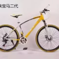 自行车 改装 图片 19
