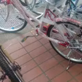 自行车 改装 图片 22