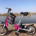 自行车 改装 图片 3