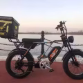 自行车 电动车改装 图片 13
