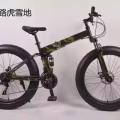 自行车 电动车改装 图片 15