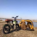 自行车 电动车改装 图片 2