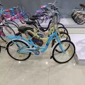 自行车 改装 图片 6