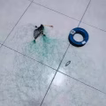 新加坡钓螃蟹和鱼网 图片 1