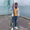 新加坡钓螃蟹钓和鱼网钓螃蟹一留！不会的可以教学 图片 5