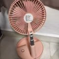 粉红小风扇 图片 4