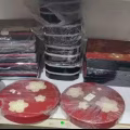 新加坡华人过年放糖果用 还有放零食 还有放寿司盒子 图片 2
