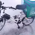 Kudu 电动自行车（36V电池哦） 图片 1