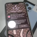 iPhone 13 pro max 256gb 图片 1