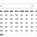 可拆卸短裤 图片 5