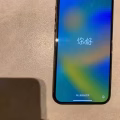 苹果国行版双卡两部  图片 4
