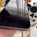 iphone12（紫色）+Apple Watch SE 40mm 玫瑰金 图片 8