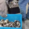 大闸蟹 图片 1