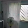 窗帘 图片 1
