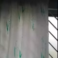 窗帘 图片 3