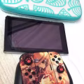 switch3 图片 2