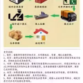承接中国至新加坡海运空运物流服务大量求海运团团长合作 图片 6