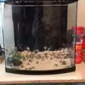 养鱼器材(鱼缸，过滤器材) 图片 4