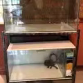 养鱼器材(鱼缸，过滤器材) 图片 6