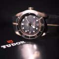 TUDOR BRONZE BLACK BAY 图片 1