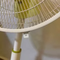 闲置的风扇 图片 2