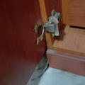衣廚 图片 5